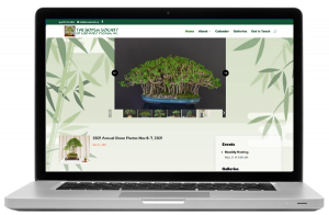 Bonsai Society of SWFL Website