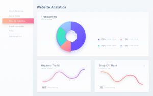Website Statistics